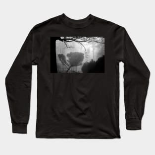 Leaning pine in a foggy wood Long Sleeve T-Shirt